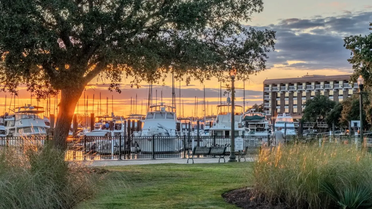 Sunset over a marina with boats, a large tree, and a hotel in the background, viewed from a grassy park.